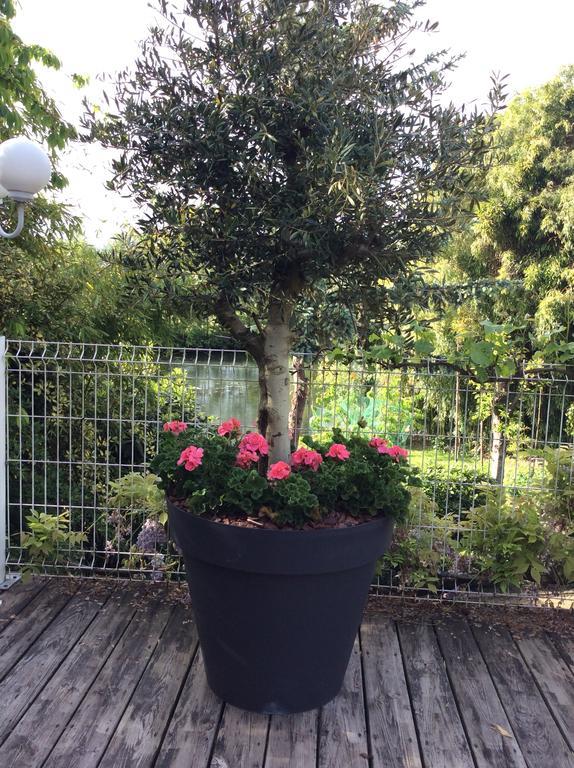 Châteauroux Le Lavoir Bed & Breakfast エクステリア 写真